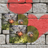 INDUCTION - Love Kills! HEAVY VALENTINE LP-BUNDLE