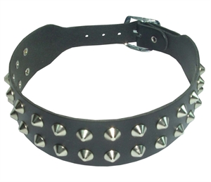 Spiked Stud Collar